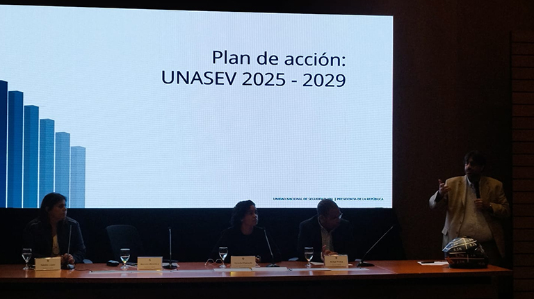 plan de acción UNASEV Uruguay